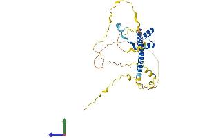 Protein Structure (PS) image for T-Cell Leukemia Homeobox 3 (TLX3) (AA 1-291) protein (His tag) (ABIN7544509)
