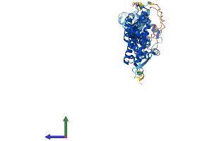 Protein Structure (PS) image for CDK5 Regulatory Subunit Associated Protein 3 (CDK5RAP3) (AA 1-506) protein (His tag) (ABIN7553328)