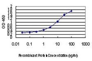 Detection limit for recombinant GST tagged VHL is approximately 0. (VHL 抗体  (AA 1-110))