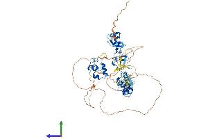Protein Structure (PS) image for Actin Binding LIM Protein Family, Member 2 (ABLIM2) (AA 1-612) protein (His tag) (ABIN7558732)