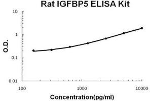 Rat IGFBP5 PicoKine ELISA Kit standard curve (IGFBP5 ELISA 试剂盒)