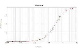 ELISA Results of Rabbit Anti-Hexokinase Antibody tested against purified Hexokinase. (Hexokinase 2 抗体)
