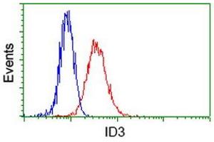 Image no. 2 for anti-Inhibitor of DNA Binding 3, Dominant Negative Helix-Loop-Helix Protein (ID3) antibody (ABIN1498778)