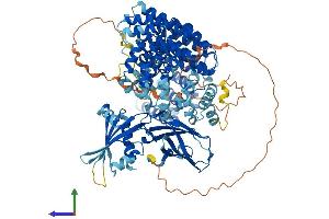 Protein Structure (PS) image for Adaptor-Related Protein Complex 1, beta 1 Subunit (AP1B1) (AA 1-949) protein (His tag) (ABIN7552192)