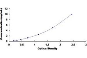 Typical standard curve (Nischarin ELISA 试剂盒)