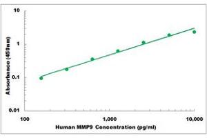 Representative Standard Curve (MMP 9 ELISA 试剂盒)