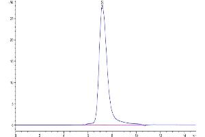 The purity of Human LILRB5 is greater than 95 % as determined by SEC-HPLC.