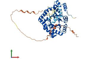 Protein Structure (PS) image for Potassium Voltage-Gated Channel, Shaker-Related Subfamily, beta Member 3 (KCNAB3) (AA 1-404) protein (His tag) (ABIN7548640)