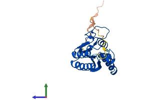 AlphaFold protein structure predicition of Human Recombinant ADAT2 Protein, UniprotID Q7Z6V5