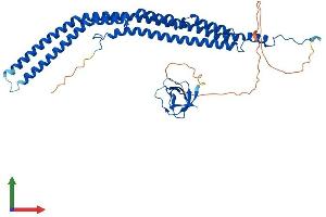 Protein Structure (PS) image for Protein Kinase C and Casein Kinase Substrate in Neurons 1 (PACSIN1) (AA 1-441) protein (His tag) (ABIN7563926)