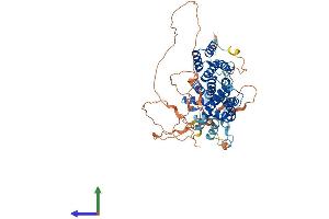 AlphaFold protein structure predicition of Mouse Recombinant Taf6l Protein, UniprotID Q8R2K4