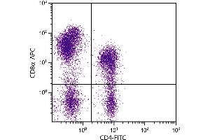 Porcine peripheral blood lymphocytes were stained with Mouse Anti-Porcine CD8α-APC. (CD8 alpha 抗体  (Biotin))