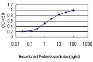 Detection limit for recombinant GST tagged MYNN is approximately 0. (Myoneurin 抗体  (AA 501-610))