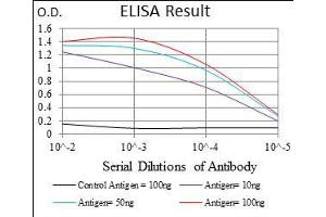 Black line: Control Antigen (100 ng), Purple line: Antigen(10 ng), Blue line: Antigen (50 ng), Red line: Antigen (100 ng), (Cytokeratin 5 抗体  (AA 316-590))
