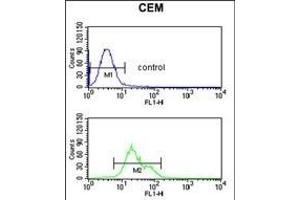 Flow Cytometry (FACS) image for anti-Solute Carrier Family 39 (Zinc Transporter), Member 8 (SLC39A8) (AA 218-246) antibody (ABIN653308)