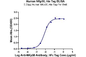 ELISA image for Natural Cytotoxicity Triggering Receptor 3 (NCR3) (AA 19-138) protein (His-Avi Tag) (ABIN7275353)