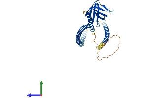AlphaFold protein structure predicition of Human Recombinant HOMER3 Protein, UniprotID Q9NSC5