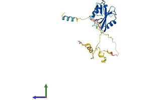Protein Structure (PS) image for Src Homology 2 Domain Containing F (SHF) (AA 1-238) protein (His tag) (ABIN7559320)