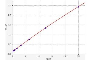 Typical standard curve (MMP24 ELISA 试剂盒)