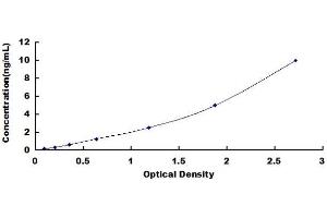 Typical standard curve (WNT2B ELISA 试剂盒)