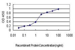 Detection limit for recombinant GST tagged USP9X is approximately 0. (USP9X 抗体  (AA 1-90))