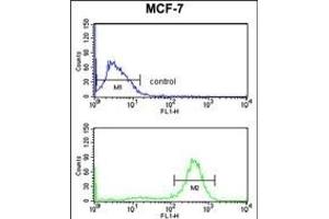CHPF Antibody (Center) (ABIN652988 and ABIN2842628) flow cytometry analysis of MCF-7 cells (bottom histogram) compared to a negative control cell (top histogram). (CHPF 抗体  (AA 327-354))
