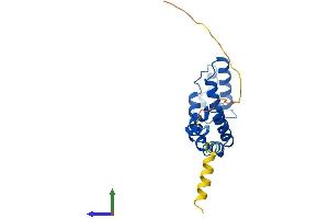 AlphaFold protein structure predicition of Mouse Recombinant Rgs10 Protein, UniprotID Q9CQE5