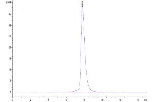 Size-exclusion chromatography-High Pressure Liquid Chromatography (SEC-HPLC) image for CD6 (CD6) (AA 18-402) protein (His tag) (ABIN7274212)