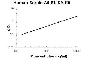 Human  Serpin A5 PicoKine ELISA Kit standard curve