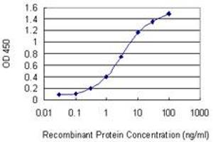Detection limit for recombinant GST tagged CPNE5 is 0. (Copine V 抗体  (AA 393-450))