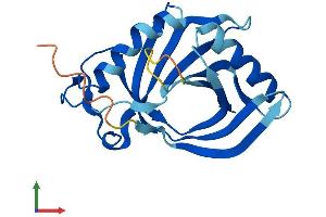 Protein Structure (PS) image for Heme Binding Protein 1 (HEBP1) (AA 1-189) protein (His tag) (ABIN7548219)