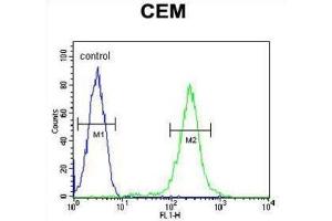 Flow Cytometry (FACS) image for anti-Complement Factor P (CFP) antibody (ABIN3004386) (CFP 抗体)