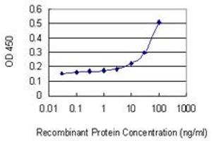 ELISA image for anti-Granzyme A (Granzyme 1, Cytotoxic T-Lymphocyte-Associated serine Esterase 3) (GZMA) (AA 41-141) antibody (ABIN947957)