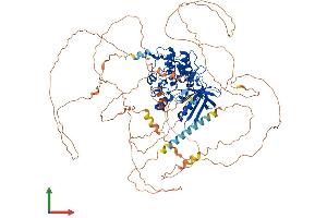 Protein Structure (PS) image for AP2 associated kinase 1 (AAK1) (AA 1-959) protein (His tag) (ABIN7563720)