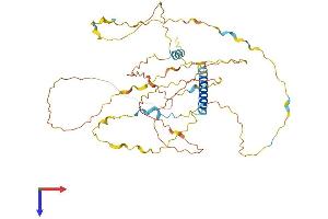 AlphaFold protein structure predicition of Human Recombinant C11orf96 Protein, UniprotID Q7Z7L8