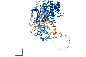 AlphaFold protein structure predicition of Mouse Recombinant Prkce Protein, UniprotID P16054