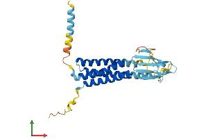 Protein Structure (PS) image for Calcium Channel, Voltage-Dependent, gamma Subunit 6 (CACNG6) (AA 1-260) protein (His tag) (ABIN7553049)