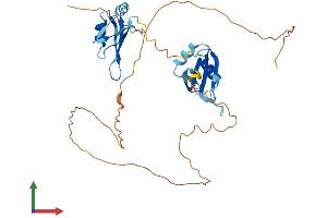 Protein Structure (PS) image for Musashi Homolog 2 (MSI2) (AA 1-346) protein (His tag) (ABIN7560184)