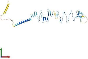 Protein Structure (PS) image for Sarcoglycan, zeta (SGCZ) (AA 1-311) protein (His tag) (ABIN7558987)