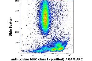 Flow cytometry surface staining pattern of bovine peripheral whole blood stained using anti-bovine MHC ClassI (IVA26) purified antibody (concentration in sample 10 μg/mL) GAM APC. (MHC Class I (Alpha+beta2m Chains) 抗体)