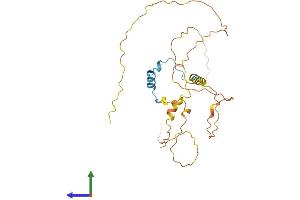 Protein Structure (PS) image for Cbp/p300-Interacting Transactivator, with Glu/Asp-Rich Carboxy-terminal Domain, 2 (CITED2) (AA 1-270) protein (His tag) (ABIN7553482)