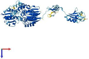 Protein Structure (PS) image for Cleavage and Polyadenylation Specific Factor 3-Like (CPSF3L) (AA 1-600) protein (His tag) (ABIN7548503)