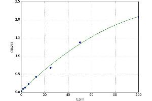 Hexosaminidase B (Beta Polypeptide) (HEXB) ELISA Kit
