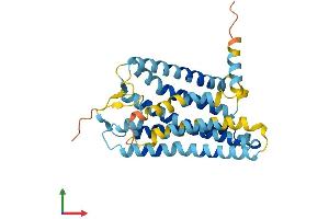 Protein Structure (PS) image for Olfactory Receptor, Family 10, Subfamily AD, Member 1 (OR10AD1) (AA 1-317) protein (His tag) (ABIN7549969)