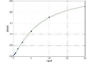 A typical standard curve (Defensin beta 4 ELISA 试剂盒)