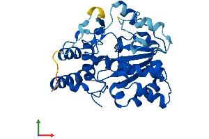 AlphaFold protein structure predicition of Human Recombinant SULT1C3 Protein, UniprotID Q6IMI6