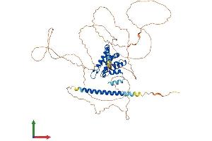 AlphaFold protein structure predicition of Human Recombinant ENTHD1 Protein, UniprotID Q8IYW4