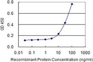 Detection limit for recombinant GST tagged MUC5AC is 0. (MUC5AC 抗体  (AA 351-450))