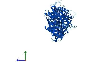 AlphaFold protein structure predicition of Mouse Recombinant Padi1 Protein, UniprotID Q9Z185