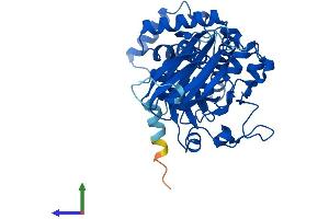 Protein Structure (PS) image for SEC14-Like 2 (SEC14L2) (AA 1-403) protein (His tag) (ABIN7560291)